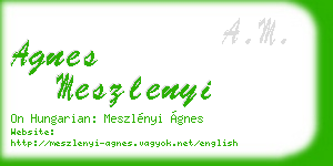 agnes meszlenyi business card